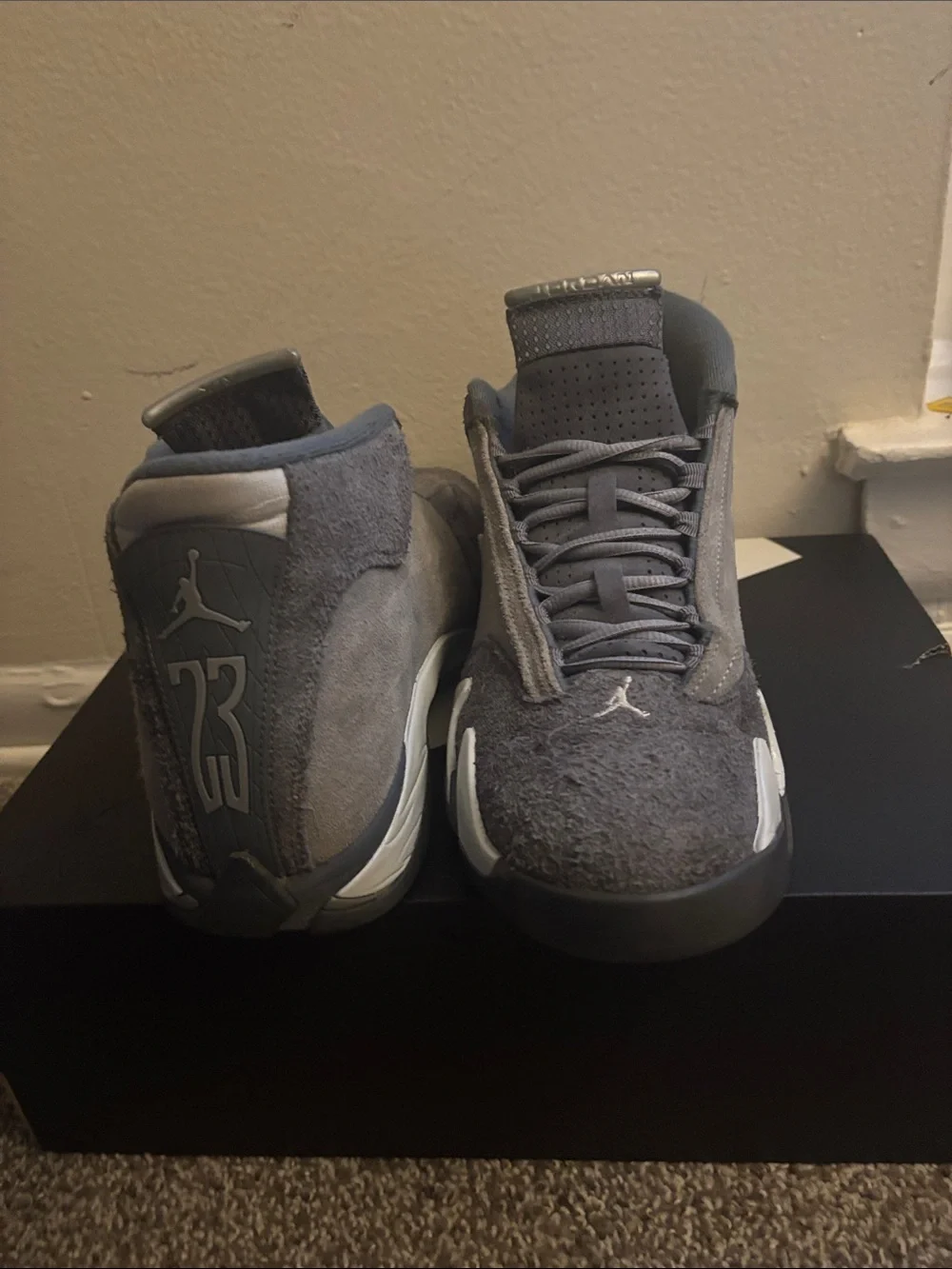Jordan 14s cool gray color way